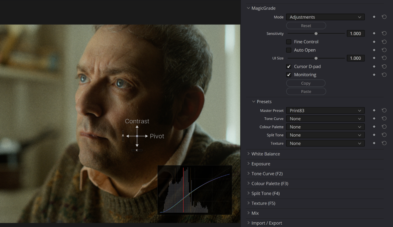 MagicGrade tone-curve overlay applied to a colour-graded portrait shot