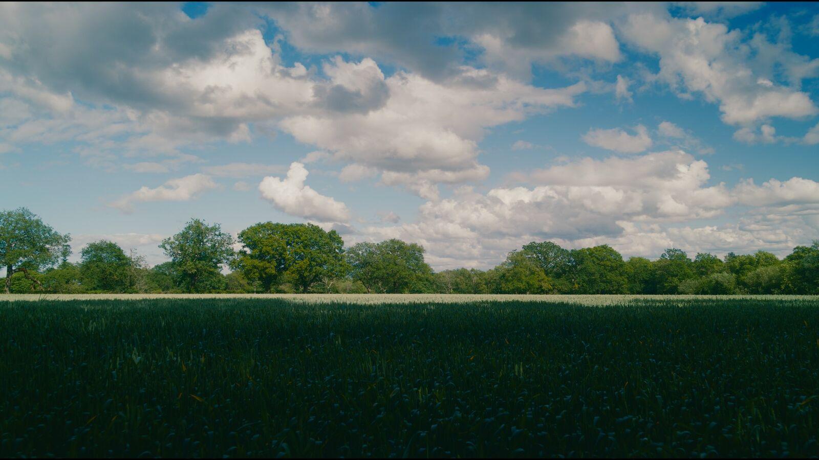 Demo frame graded with the Cinema 83 film stock in MagicGrade